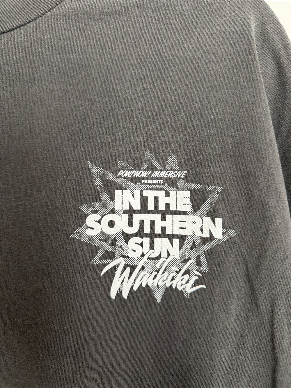 American Apparel In The Southern Sun Waikiki Graphic T-Shirt Unisex 2XL - Picture 2 of 6